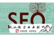 黑帽seo中隱藏文字和鏈接的代碼:武漢SEO署理談網(wǎng)站tag的準(zhǔn)確用途