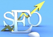 SEO站群優(yōu)化：什么樣的職業(yè)適合站群優(yōu)化？