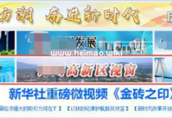 黑帽seo排名：新聞源網站劫持