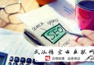 哪里有黑帽seo教程:官網SEO解答白帽seo的操作方式
