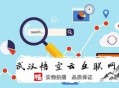 seo白帽黑帽什么意思:石家莊SEO：若那邊理網站中重復內容