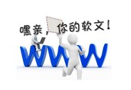 黑帽seo排名主流方法:軟文公布：注重事項！