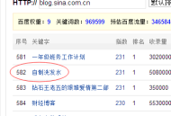 黑帽seo盧松松：探索其背后的網絡優化策略與影響