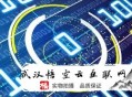 黑帽seo 知乎:萊州SEO:網站優化的創業蹊徑