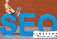 黑帽seo最穩定的方式:[干貨分享]慈溪SEO署理淺談收錄問題