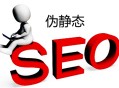 黑帽seo 技術 資源網:偽靜態、動態、靜態網頁對SEO的影響！