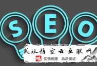 黑帽seo可取嗎:海南SEO告訴你網站要害字優化的步驟