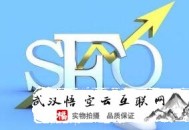 使用黑帽seo:鹿泉SEO署理教你用高權(quán)重網(wǎng)站操作