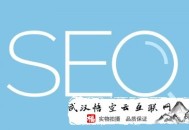 黑帽seo教:企業優化排名不穩罪魁罪魁