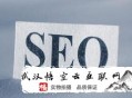 黑帽seo和js:【SEO署理】關于網站優化可能泛起的問題