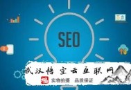 黑帽seo薪資:SEO外包談?wù)勳o態(tài)企業(yè)網(wǎng)站SEO優(yōu)化方式