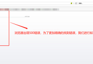 網頁500錯誤原因解決方法