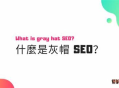黑帽seo霸屏技術：突破網絡營銷局限，實現流量快速增長