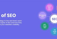 英文黑帽SEO培訓：揭秘不為人知的網(wǎng)絡優(yōu)化“暗黑”技巧