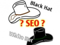 seo黑帽  白帽