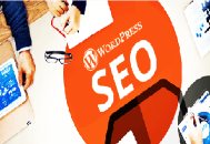 seo黑帽程序搭建:WordPress SEO優化，6個技巧與相關插件！