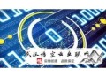為什么要選擇做黑帽seo優(yōu)化:【關注一下】網(wǎng)站外鏈的優(yōu)化技巧