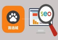 頂級(jí)域名高，我們?yōu)槭裁从枚?jí)域名做優(yōu)化（干貨）？