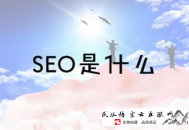 黑帽seo處罰條例:長沙SEO推廣是做什么的？