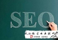 黑帽seo意思:化州SEO：網站優化之內行們會怎么做