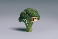 查詢網(wǎng)站ICP備案