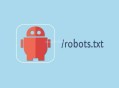 Robots.txt文件要如何正確設(shè)置