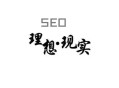 黑帽seo技術(shù)是什么:SEO履歷分享：理想與現(xiàn)實(shí)！