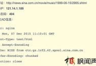 新浪王久明分享死鏈解決方案 教你如何處理預防網站死鏈