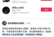 黑帽seo培訓(xùn)方法：揭秘不為人知的技巧與策略