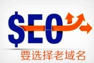 老域名對SEO幫助大么？什么樣老域名可以快速排名？