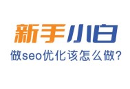 新手做seo怎么做?從哪些方面開始做?
