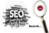 黑帽寄生蟲seo:SEO“四處一詞”與“五處一詞”的區(qū)別！