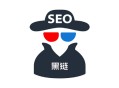 黑帽seo技術1137681124:什么是黑鏈，它與明鏈、暗鏈的區別！