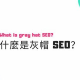 黑帽SEO培訓操作：揭秘那些不為人知的網絡推廣暗黑技巧