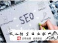 黑帽seo最穩定的方式:婁底SEO公司談SEO網站需要診斷哪些地方
