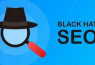 黑帽子seo 百度