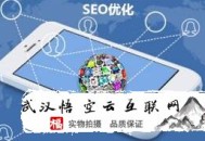 黑帽seo培訓基礎第一課:悟空云互聯網談新站SEO設計的準備事情