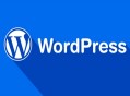 黑帽seo在線視頻:若那邊理WordPress CPU占用100%很高的問題！