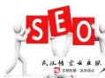 這就是黑帽seo:SEO優化新站優化的設施