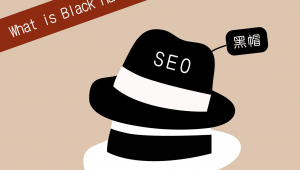 黑帽seo 2016