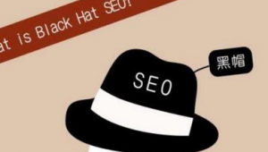 黑帽論壇seo的詳細(xì)情況（黑帽 視頻）