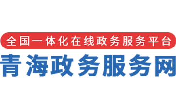 宁夏政务服务网官网